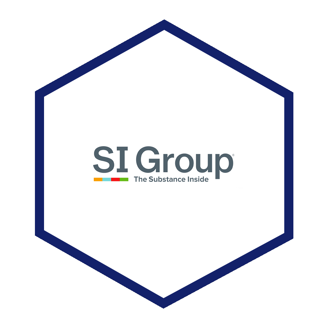 SI group iş ortaklarımız