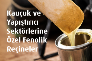 Fenolik Reçine